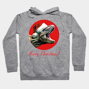 Merry Christmas! T-Rex Print Hoodie